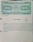 Letter of Undertaking